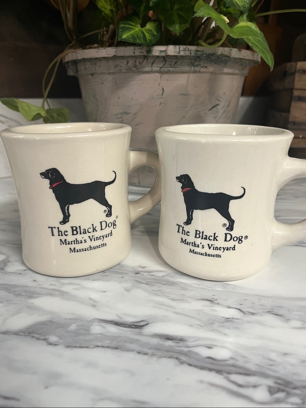 The Black Dog Martha’s Vineyard diner Mug set of 2 . Good condition no cracks